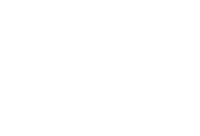 Dental Aesthetics Dental Supplies