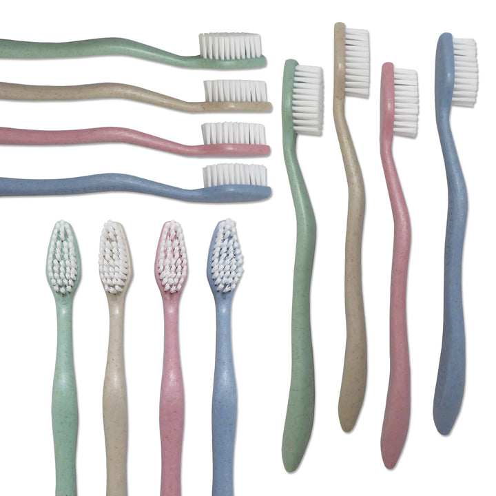 Adult Toothbrushes - Bulk Buy 100