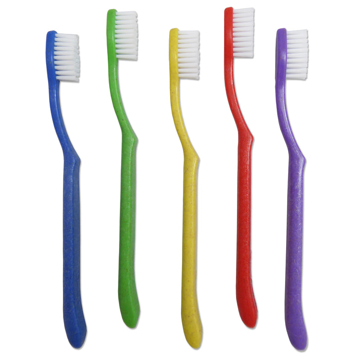 Children's Toothbrushes ~ Rainbow Set of 5