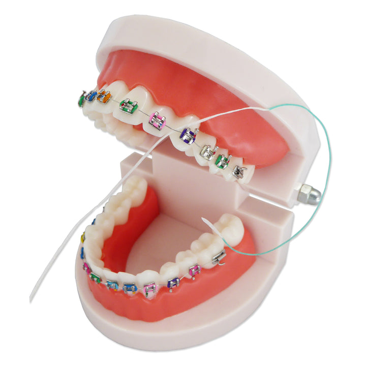 2-in-1 Inter-Floss ~ 100 Floss with Threader Between Orthodontic Braces & Bridges