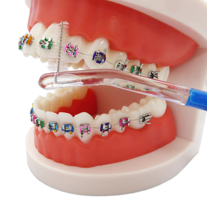 Double-End Orthodontic Toothbrush ~ Set of 4